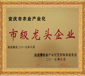 市级龙头企业