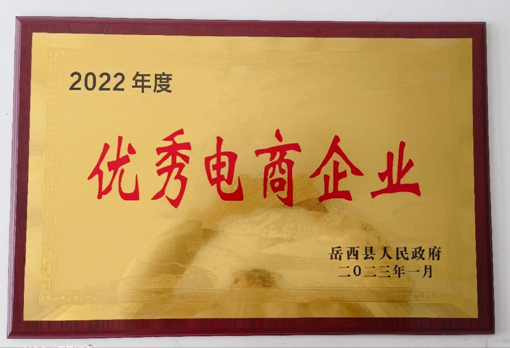 2023岳西县优秀电商企业